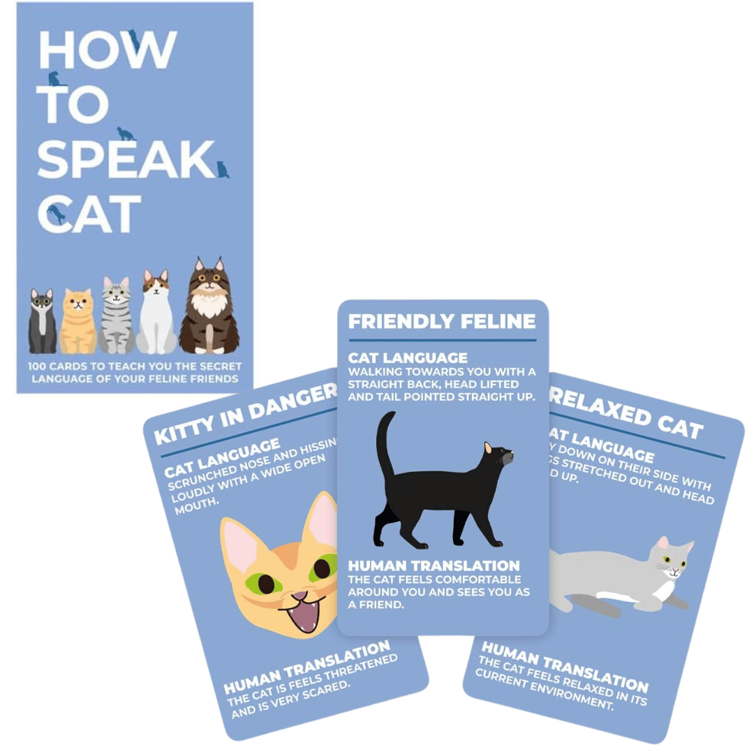 Gift Republic 100 How To Speak Cat Cards