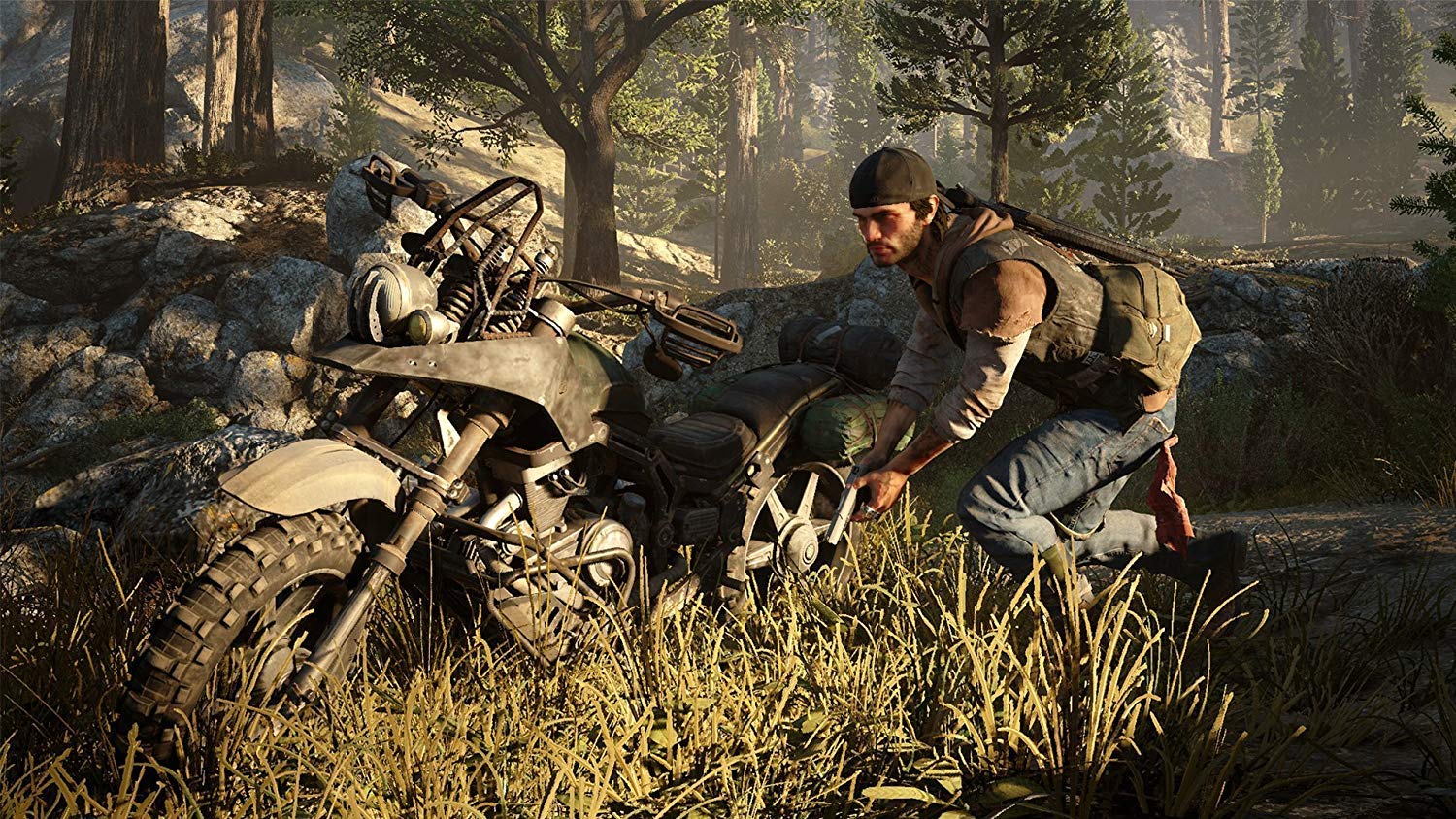 Days Gone Video Game para Sony Playstation 4 