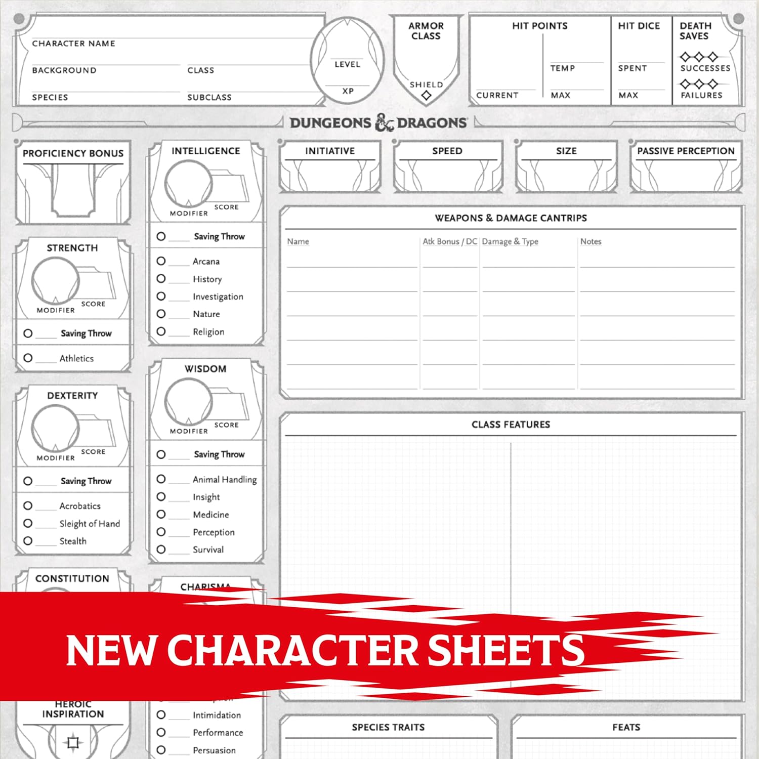 Dungeons & Dragons Character Sheets